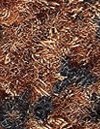 Coral Brush Raffia 5804 > 100 cm (niet meer leverbaar)